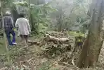 Lahan Blok Cangkuang Cidahu Sukabumi Rusak: Pemerintah Diminta Jadikan Hutan Rakyat
