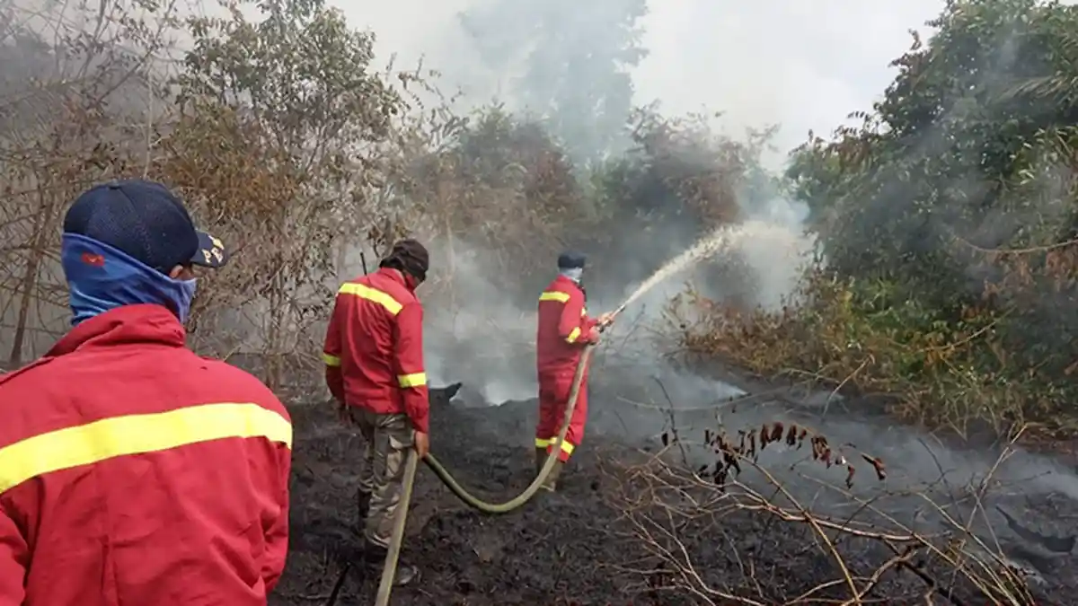 Aroma Terbakar Tercium Kuat, Kabut Asap Karhutla Selimuti Pangkalan Kerinci
