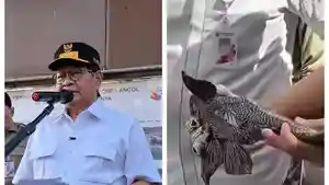 PEMBERSIHAN-SAPU-SAPU-Gubernur-DKI-Jakarta-Pramono-Anung.jpg