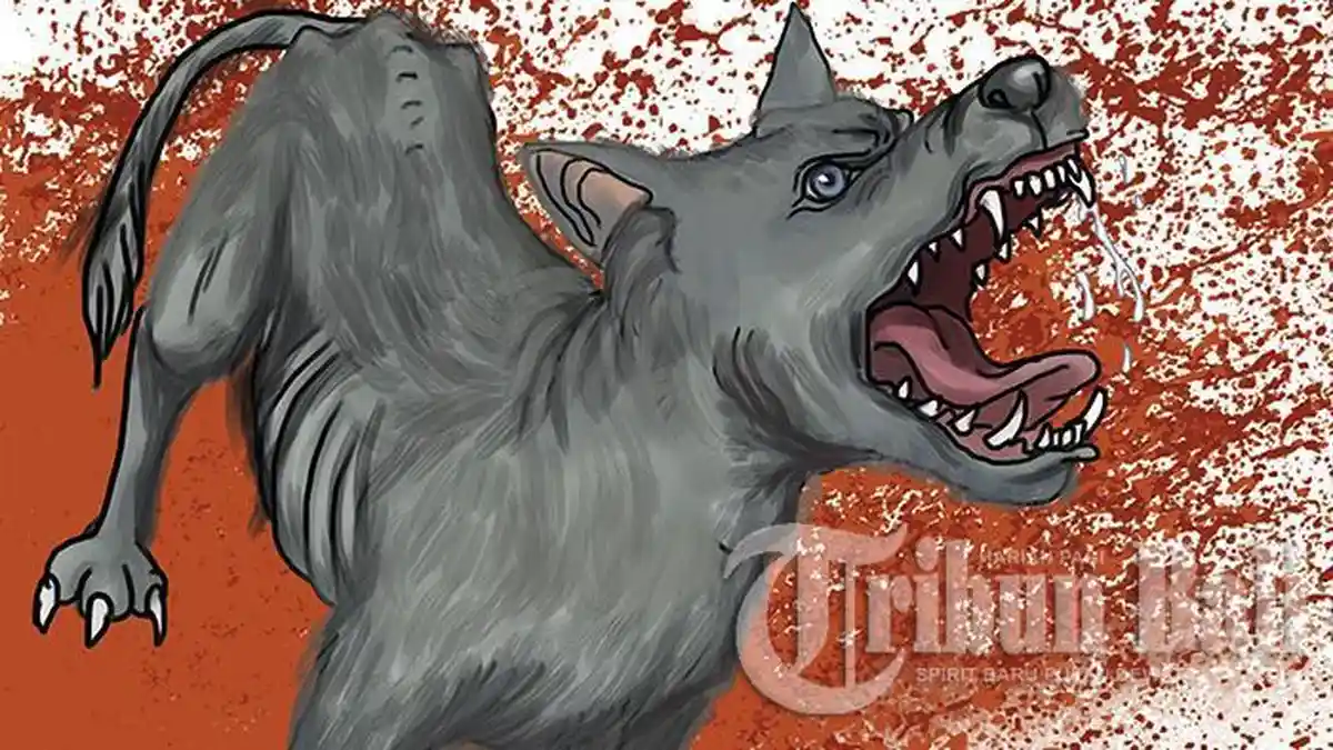 Kasus Gigitan Hewan Penular Rabies di Bima Melonjak, 221 Warga Jadi Korban