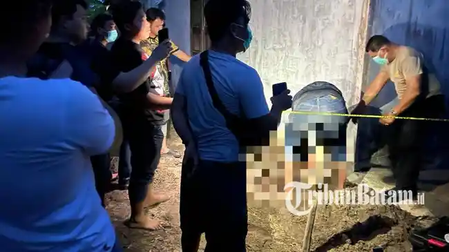 Tribun