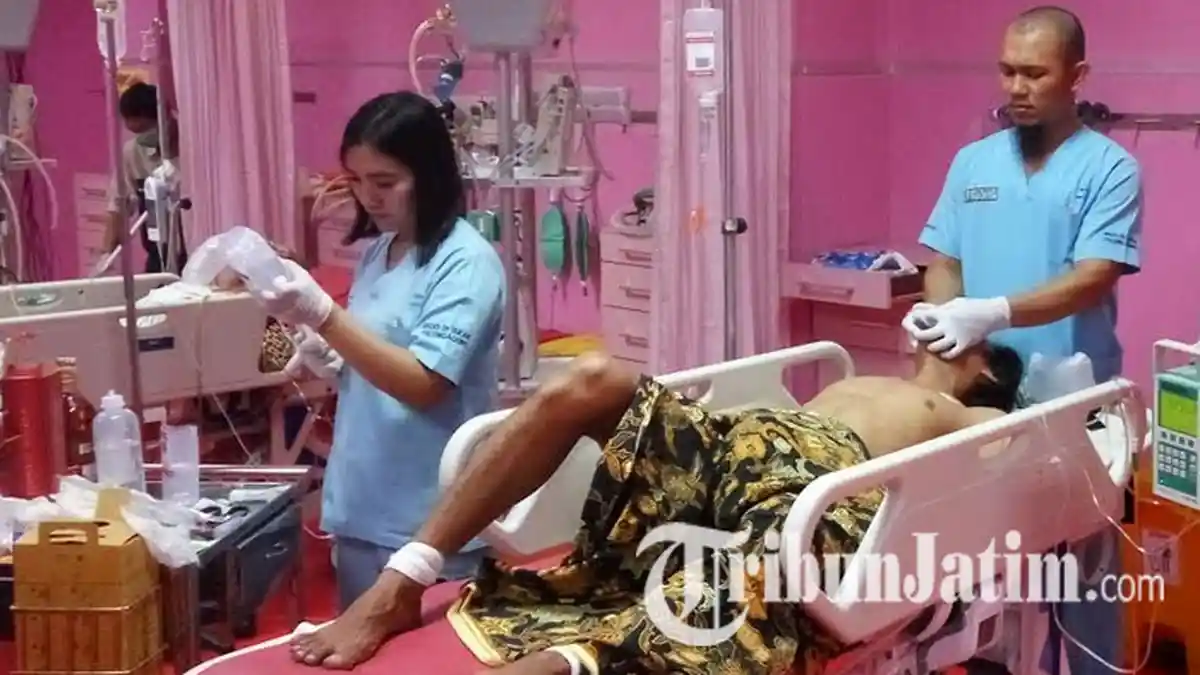 Miras Jenis Kuntul Alimi Telah Menewaskan Delapan Peminum