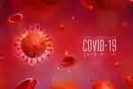ilustrasi-virus-corona-4556.jpg