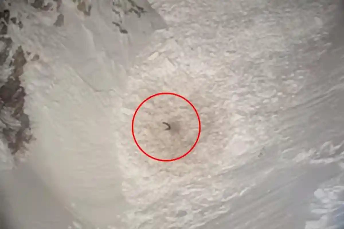 DRAMATIS Penyelamatan Pendaki yang Hilang, 6 Jam Tertimbun Salju, Petugas Lihat Tangan Melambai