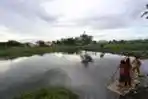 Rawa Lindung Pesanggrahan Akan Dijadikan Waduk