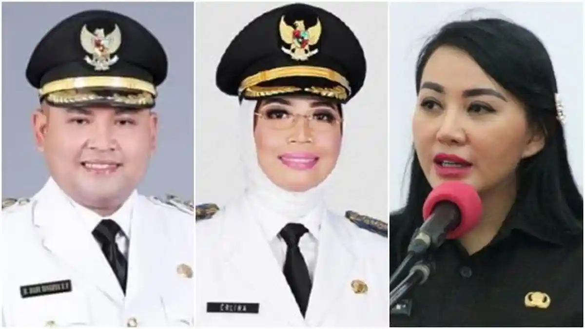 Daftar Bupati Terkaya di Kalimantan Barat yang Terpilih pada Pilkada 2024