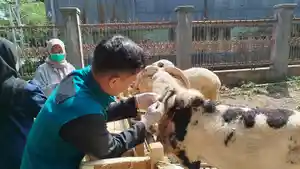 Petugas-DKPP-Kota-Bandung-saat-melakukan-pemeriksaan-hewan-kurban-231222.jpg