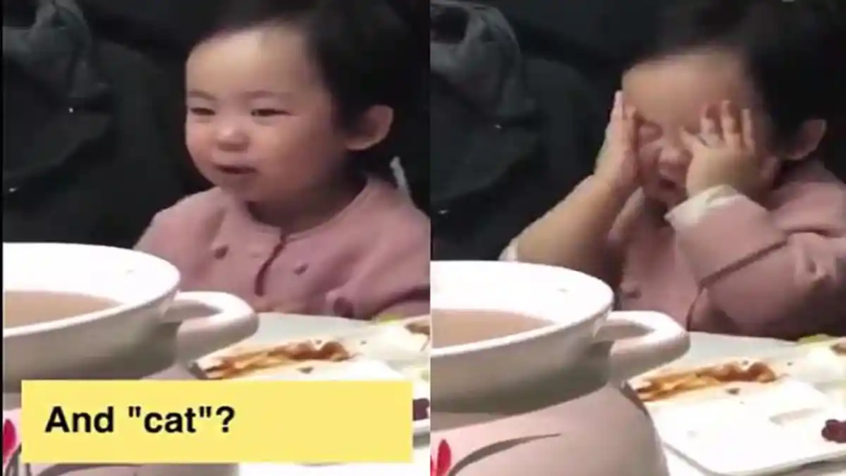 Ditanya Bahasa Inggris ‘Kucing’, Jawaban Bocah Ini Bikin Ngakak Sekaligus Gemes, Videonya Viral!