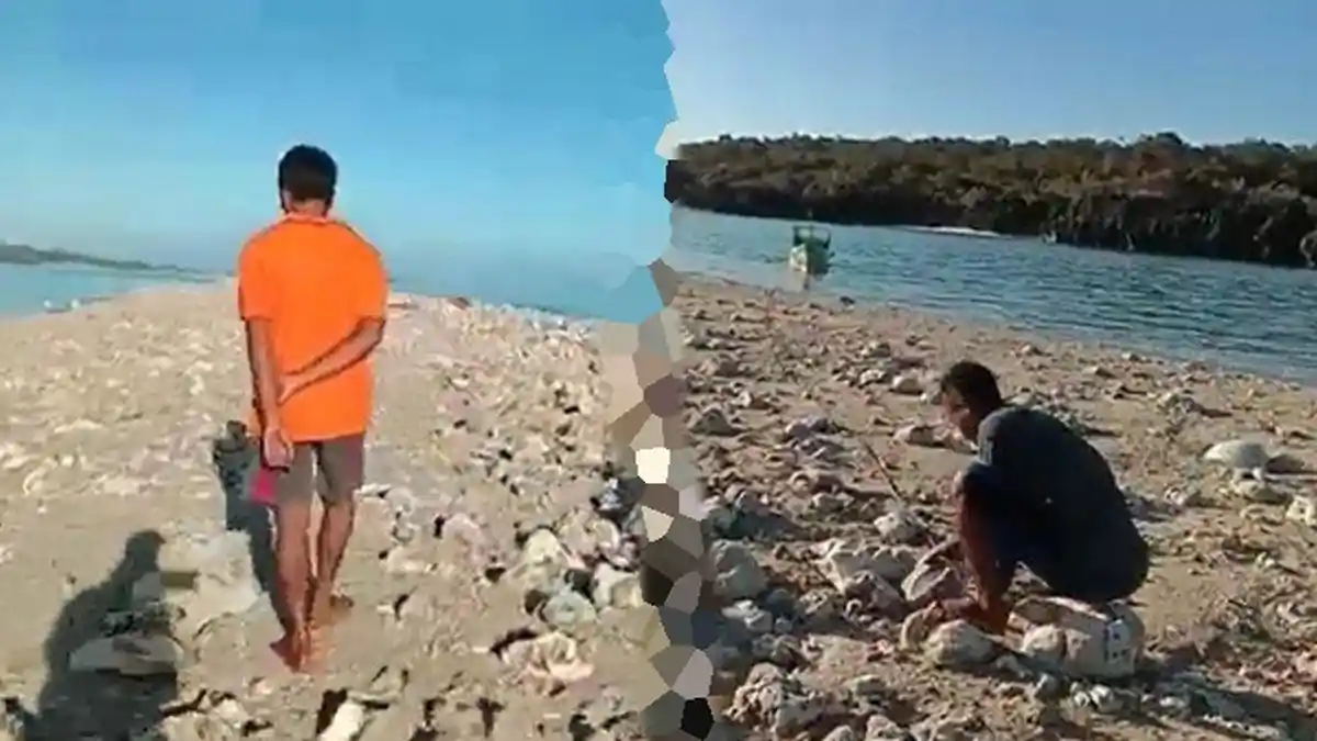 Ada Pulau Baru Muncul Pasca Badai Seroja Menghantam NTT, Masyarakat Menamainya Pulau Paskah