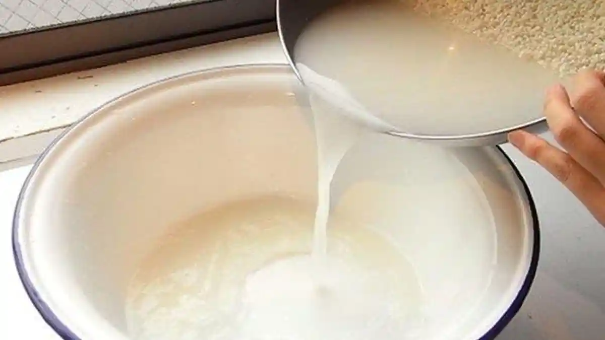 Bikin Kulit Cerah nan Glowing, Yuk Coba Perawatan dengan Air Rendaman Beras Ini