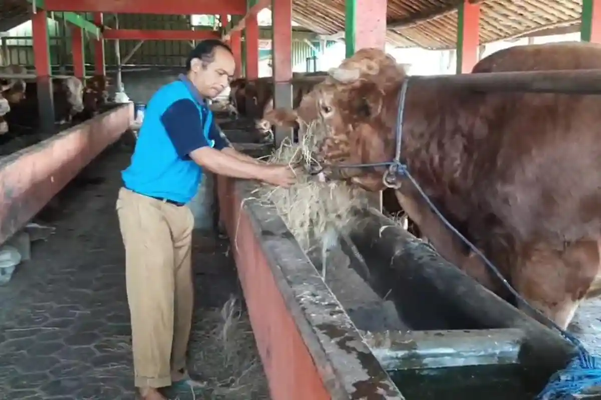 Dispertan PP Kabupaten Karanganyar Perketat Lalu Lintas Ternak Jelang Iduladha