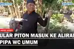 ular-piton-masuk-ke-pipa.jpg