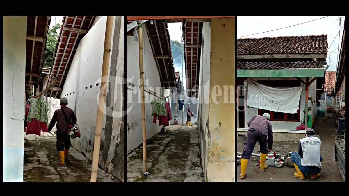 13 Warga Desa Margamulya Tegal Terinfeksi Chikungunya Klinis, Gejala Demam Nyeri Sendi Muntah