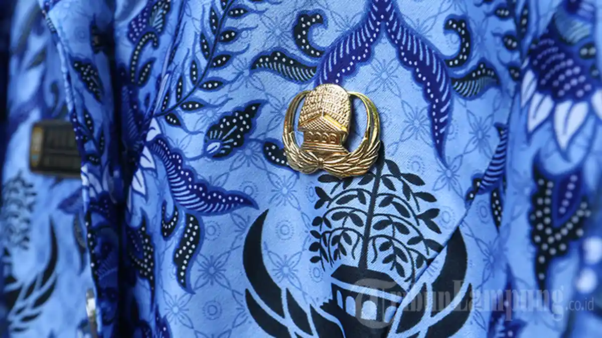 CPNS Lampung, 19 Formasi di Tanggamus Tak Terisi