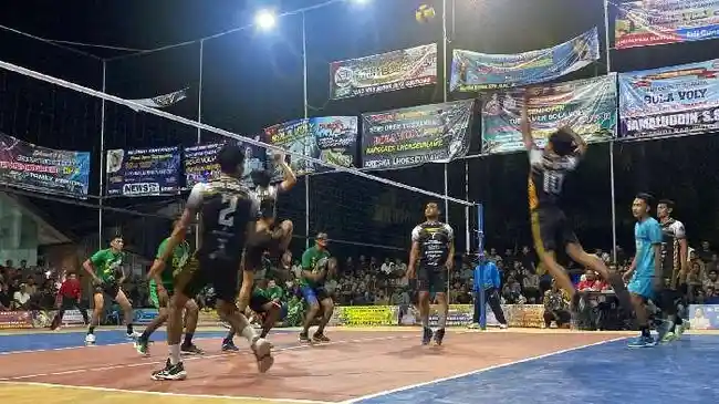 Tribun