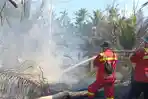 karhutla-di-Desa-Pulau-Muda-Kecamatan-Teluk-Meranti-Kabupaten-Pelalawan-pada-Rabu-1432026.jpg
