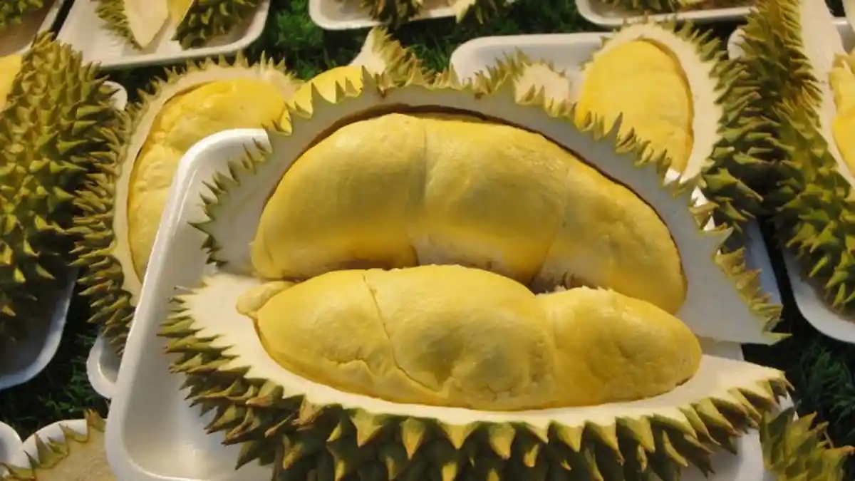 Manfaat Durian Bagi Kesehatan, Remajakan Kulit hingga Obat Berbagai Penyakit