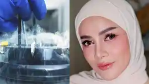 apa-itu-freeze-egg.jpg