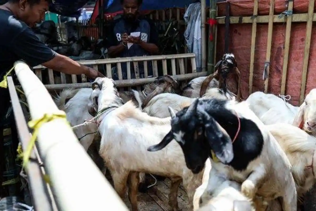 VIDEO Penjelasan Buya Yahya Soal Bayar Kurban Secara Online, Bagaimana Hukumnya?