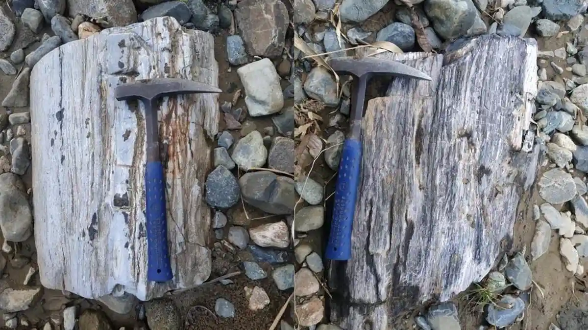 21 Situs Geologi Masuk Geopark Gorontalo, Tersebar di Seluruh Wilayah