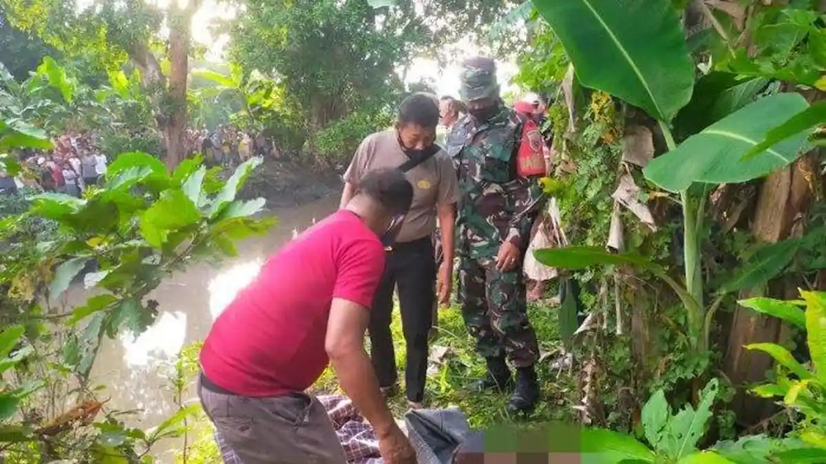 Warga Pinrang Tewas Diterkam Buaya Saat Berenang di Sungai