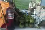 tabung-gas-elpiji-tiga-kilogram-yang-kosong-di-pangkalan-h-borahima-dg-rani.jpg