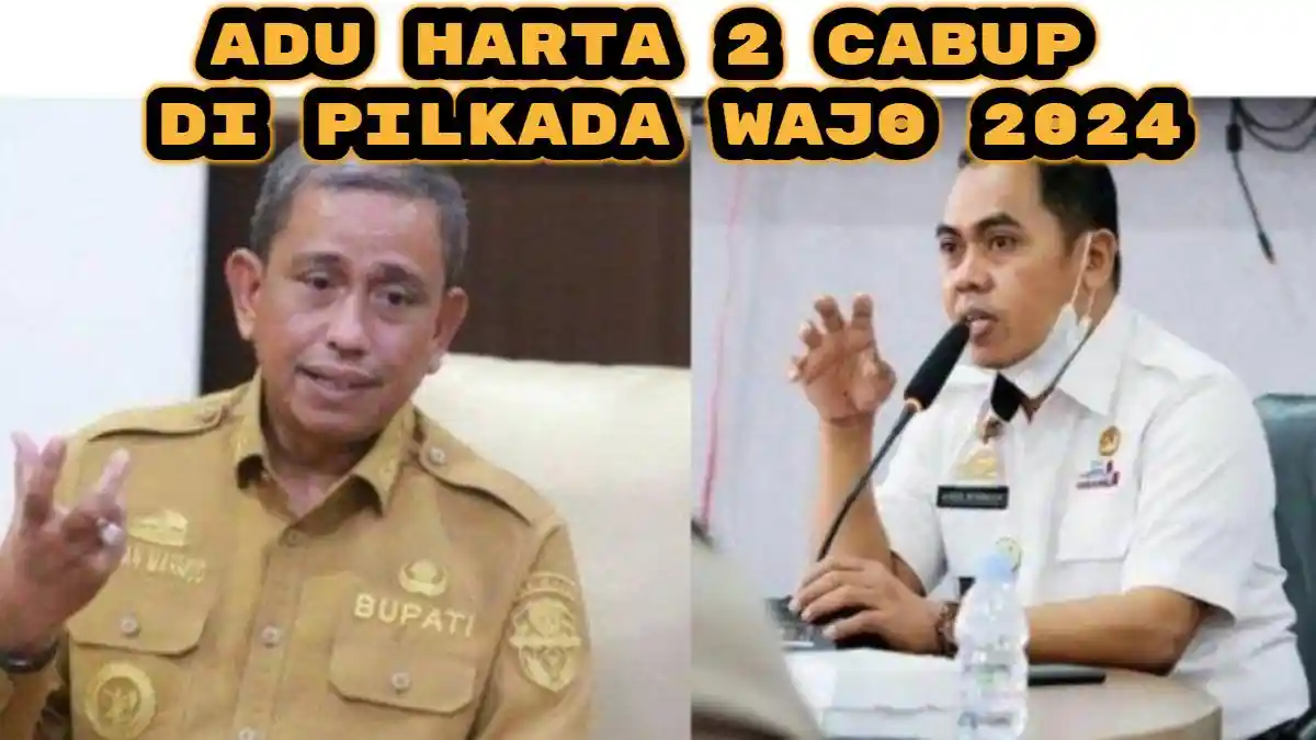 Adu Harta Calon Bupati di Pilkada Wajo 2024, Andi Rosman vs Amran Mahmud, Siapa Paling Tajir?