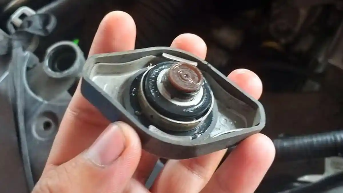 Jangan Malas Cek dan Ganti Cairan Radiator, Bisa Pengaruhi Kondisi ...