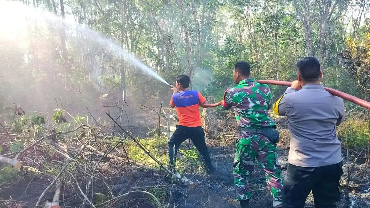 Karhutla Masih Ancam Wilayah Tabalong, Akhir Juli  Muncul Dua Titik Api