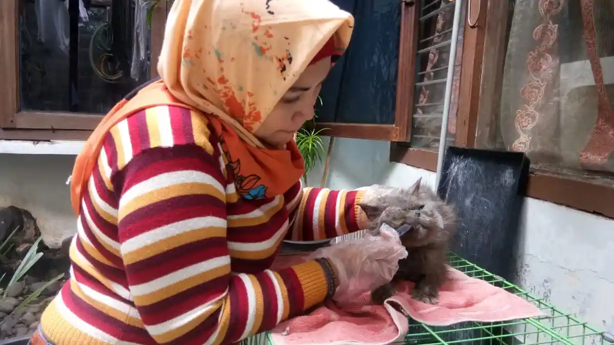 Sempat Viral Menikah Pakai Atribut Ojol, Devi Rajin Beri Makan Kucing Liar Disela Ngebid