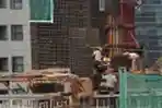 Target Pertumbuhan Ekonomi Indonesia