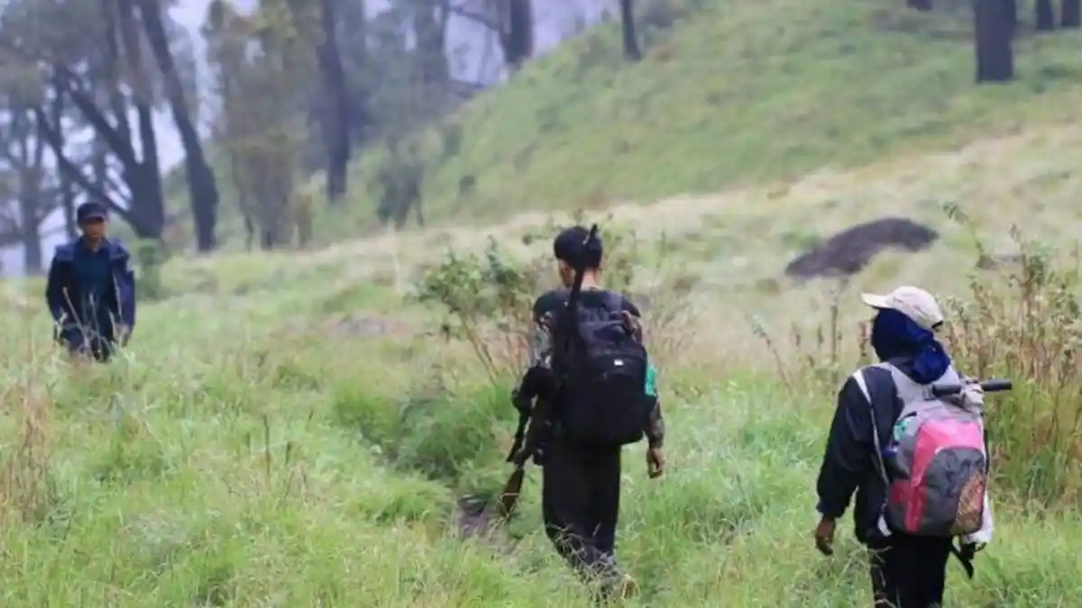Ini Foto Para Pemburu Binatang Dilindungi di Gunung Lawu