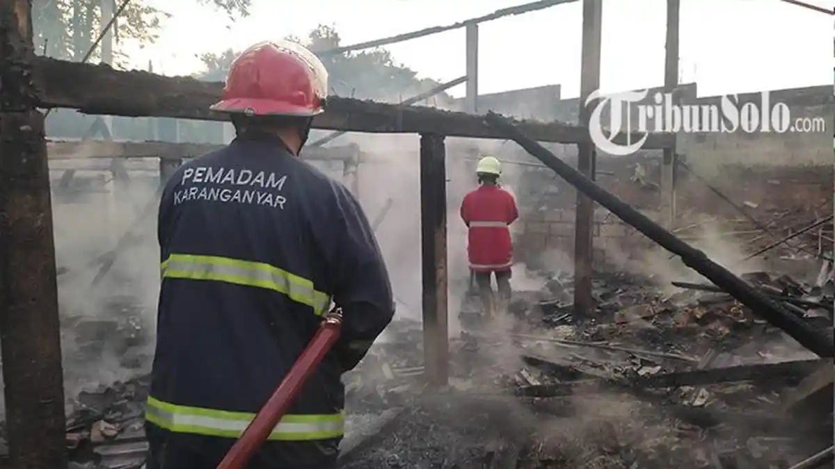 Kandang Ayam di Gayamdompo Karanganyar Terbakar, Kerugian Capai Rp 150 Juta