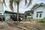 Sapi-kurban-bagi-pekerja-di-Kantor-Bupati-Malinau-28052026.jpg