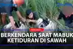 Seorang-pria-tertidur-pulas-di-tengah-sawah.jpg