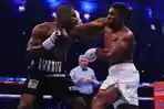jadwal-tinju-dunia-joshua-melawan-Dubois.jpg