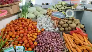 harga-bamer-di-ff-hari-ini.jpg