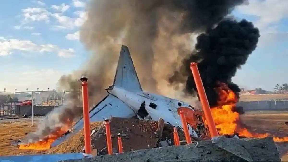 UPDATE Kasus Kecelakaan Pesawat Jeju Air, 2 Orang Selamat, Diduga Akibat Burung dan Landing Gear