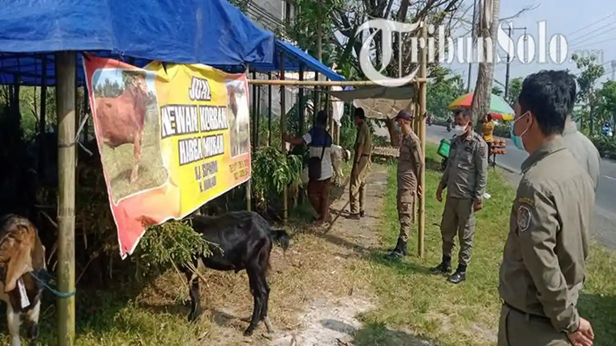 Didatangi Satpol PP Karanganyar, Mukadi Penjual Kambing di Jalanan Curhat : 3 Hari Baru Laku Seekor