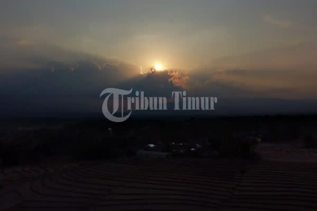Kekeringan Ekstrem Menghantui Sawah di Desa Mappesangka, Kabupaten Bone - sawah-kekeringan-bone8.jpg