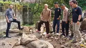 Buaya-di-penangkaran-yang-lepas-diamankan-di-Kelurahan-Sayang-Kecamatan-Cianjur.jpg
