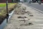 Sampah-di-pinggir-Jl-Andi-Depu-Kelurahan-Pekkabata-Kecamatan-Polewali.jpg