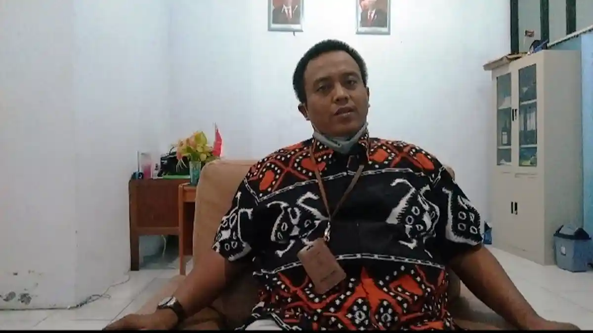 Kawasan Tebo Ilir Sering Listrik Padam, PLN Sebut Hewan dan Tumbuhan Jadi Penyebabnya