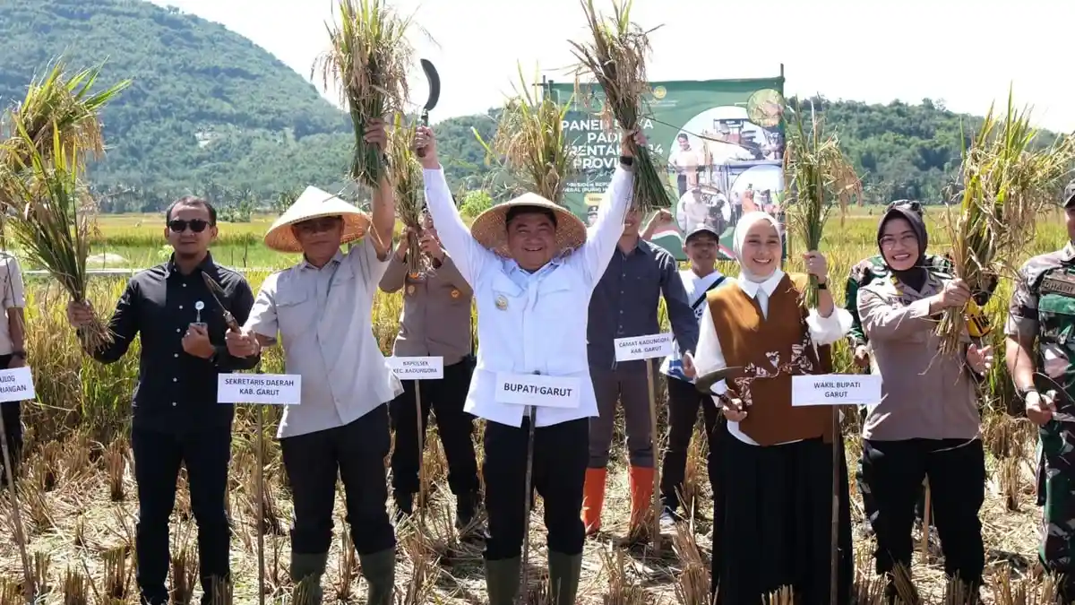 Panen Raya Melimpah di Garut, Bupati Ingin Petani Tinggalkan Cara Kuno