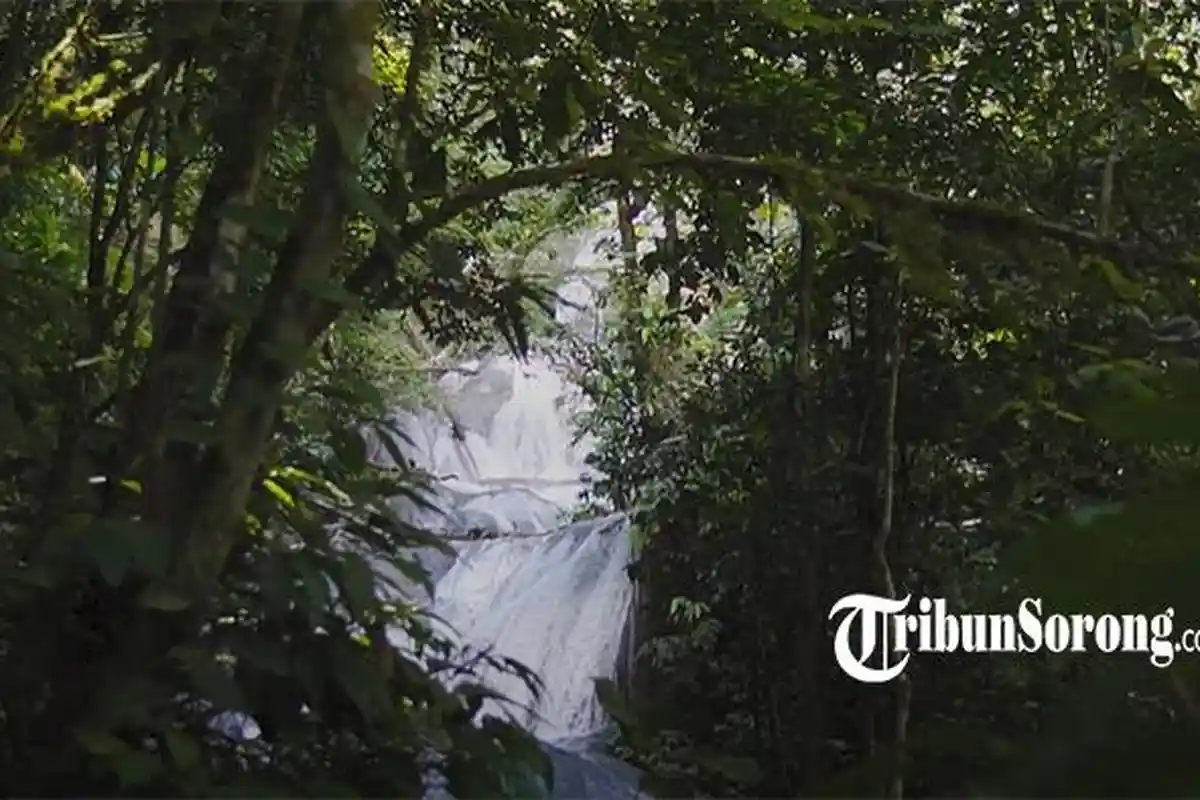 Jalan Terjal Pengakuan Masyarakat Hukum Adat di Tanah Papua, BRWA Beber Data Realisasi