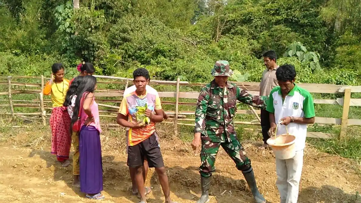 TMMD di Desa Lubuk Jering, Sarolangun, Warga SAD Diajari Cara Bercocok Tanam
