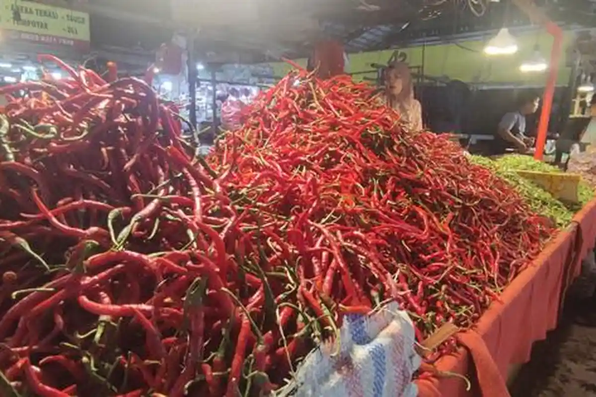 Harga Cabai Merah di Kuala Tungkal Naik Capai Rp 50 Ribu Per Kilogram