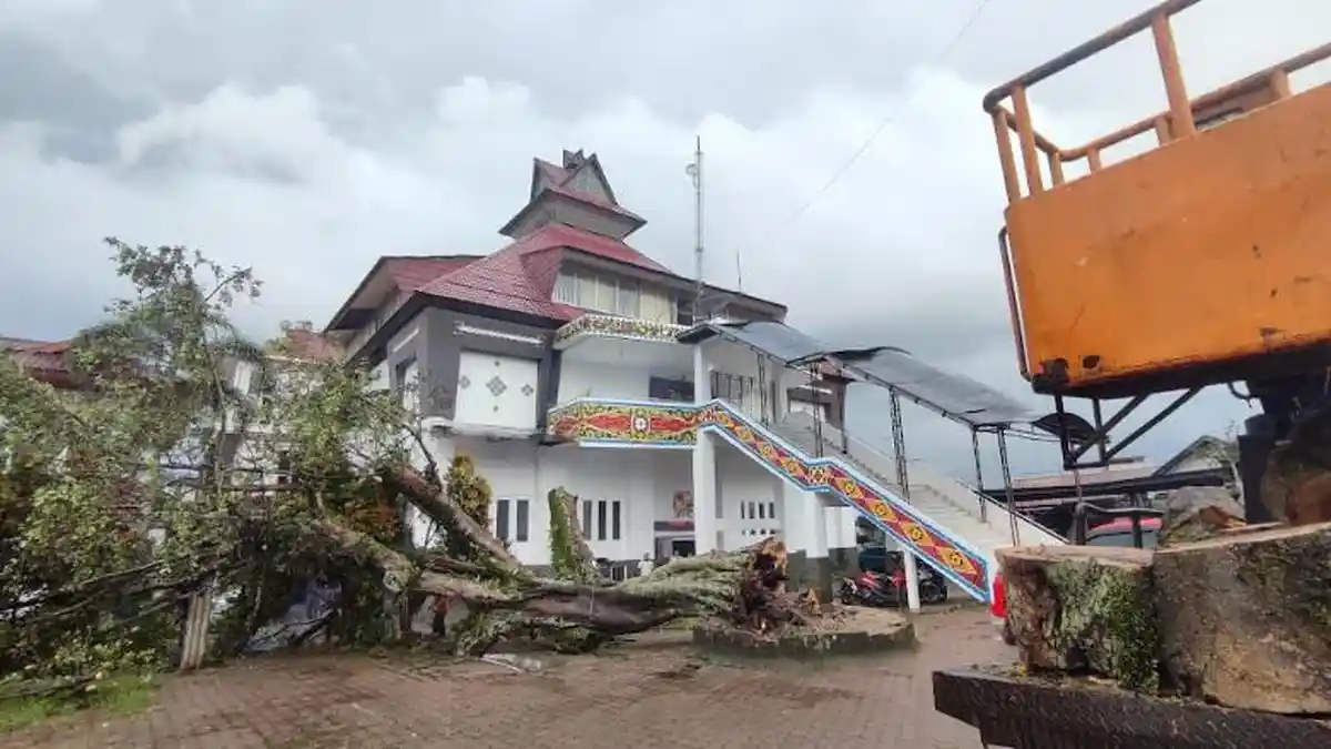 Dilanda Hujan dan Angin Kencang, Pohon Beringin di Depan Kantor DPRD Karo Tumbang