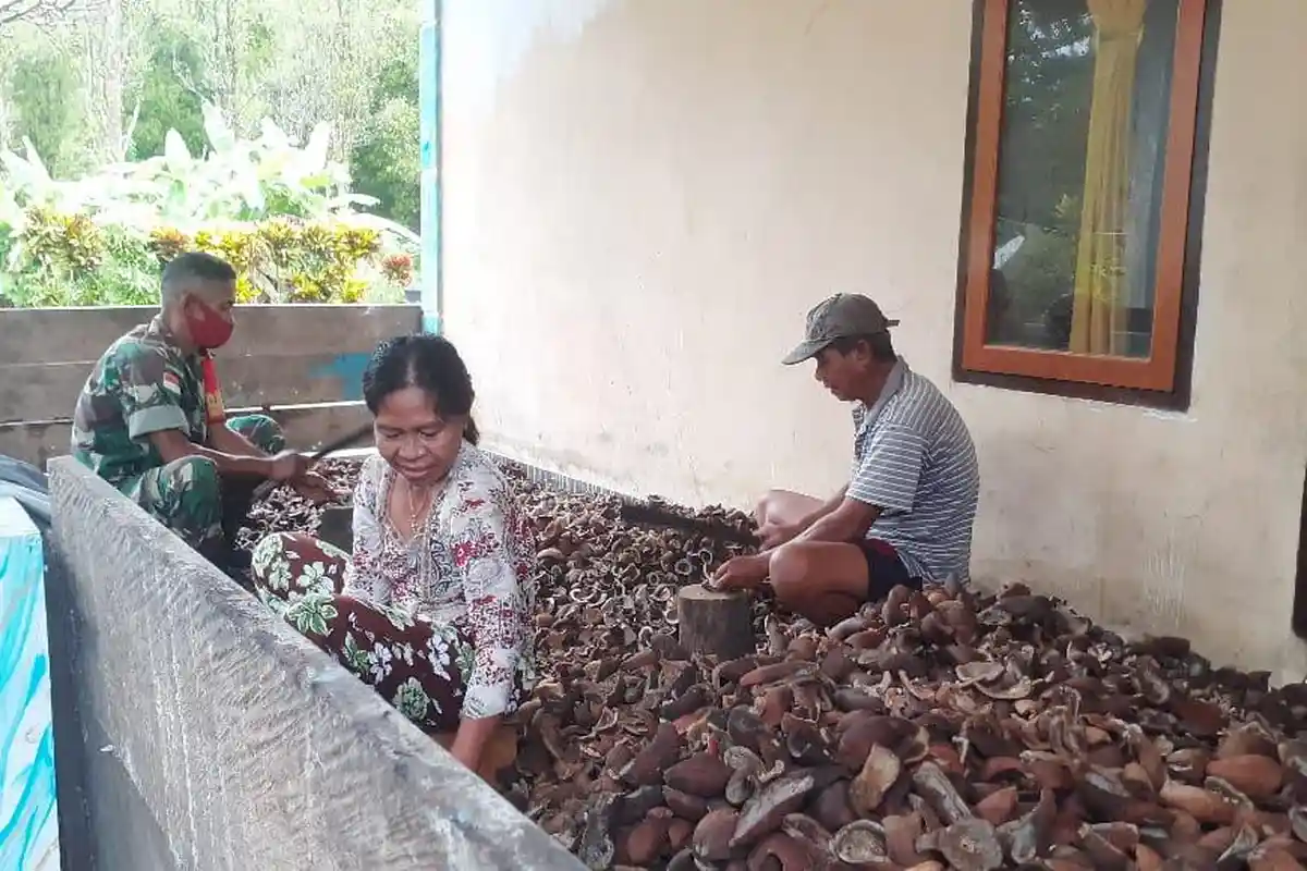 Harga Komoditas di Kepulauan Talaud Sulawesi Utara Terus Menurun, Masyarakat Harap Ada Bantuan