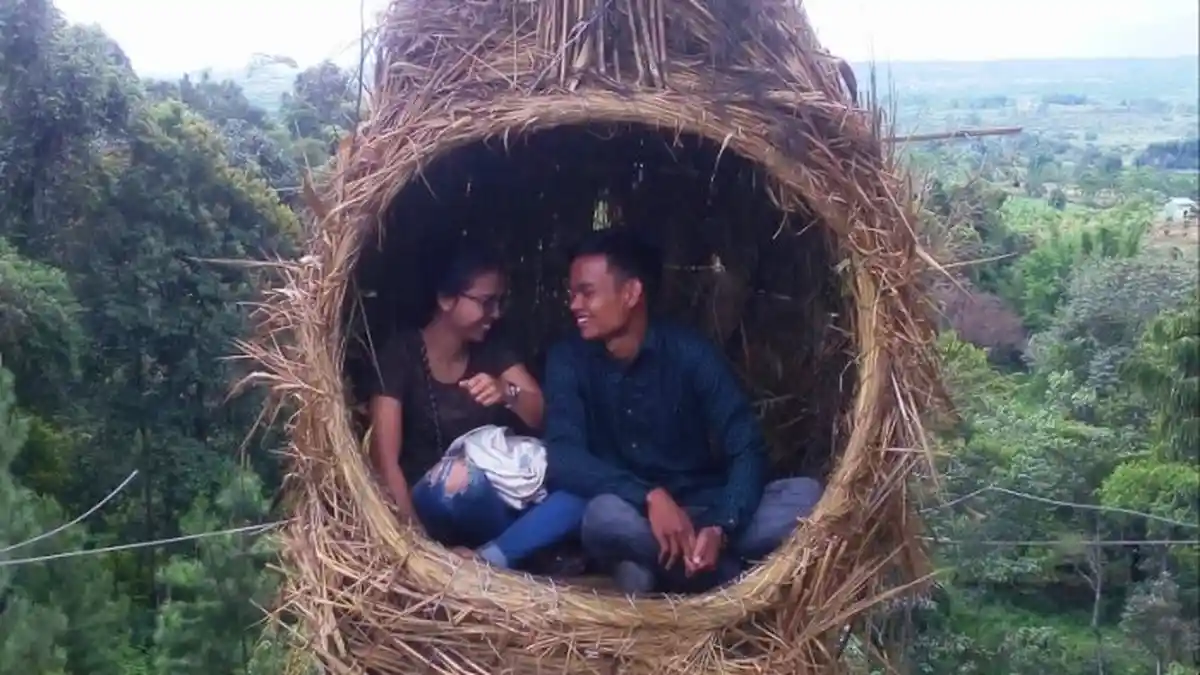 Unik, Sarang Burung Raksasa di Puncak Bukit Jadi Lokasi Selfie Cantik